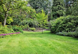 Optimiser l'expérience du jardin à Saint-Hilaire-de-Lusignan